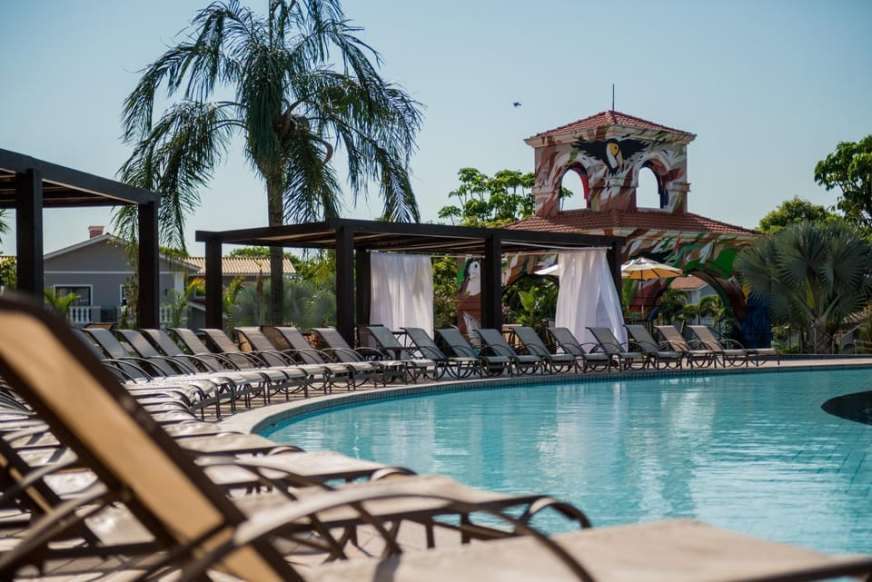 Day, Decorative detail, Pool view, Area and facilities, Swimming pool, sunbed