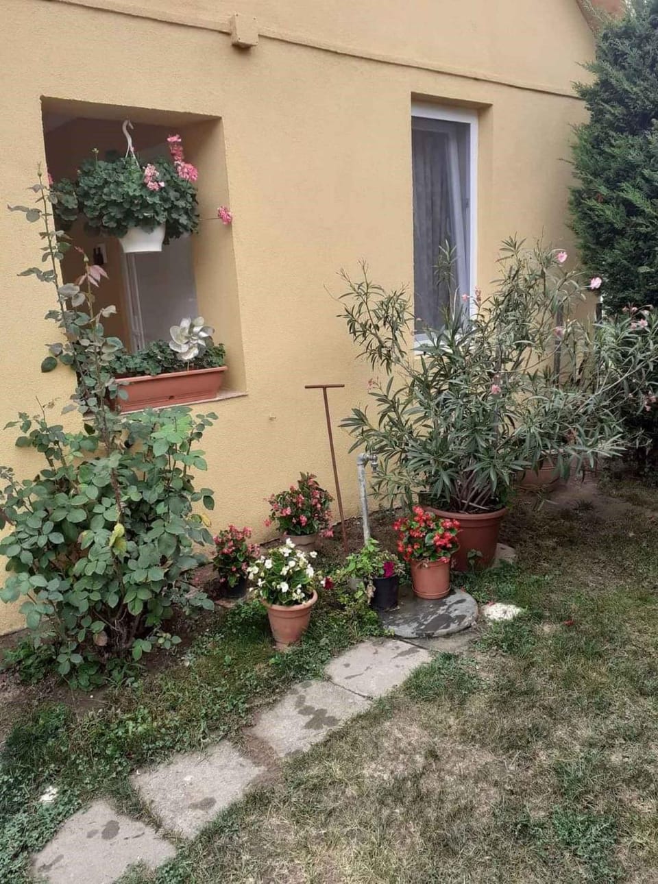 Property building, Summer