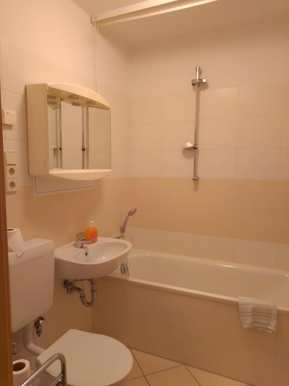 Bathroom, Living room