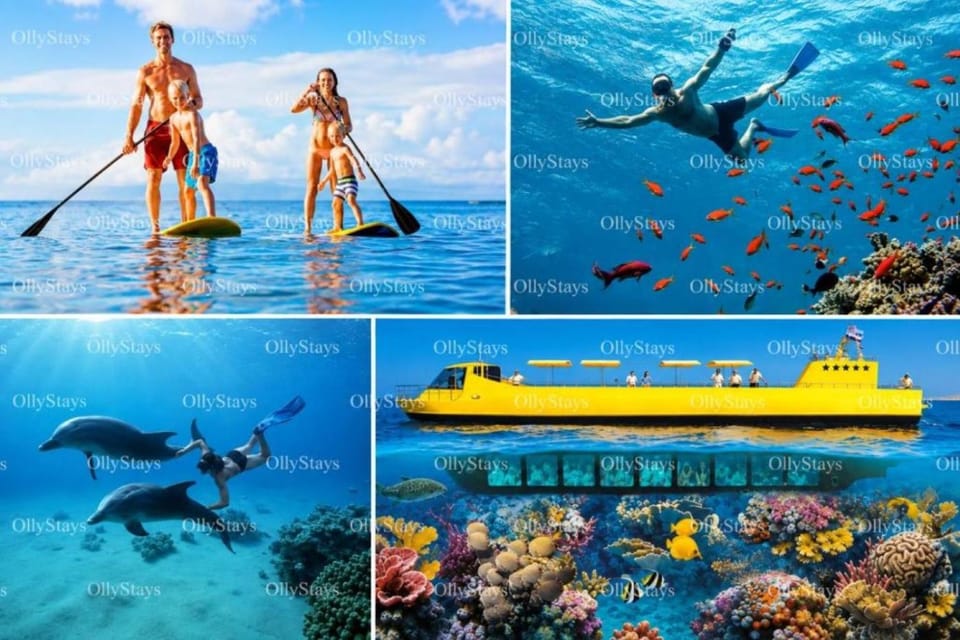 People, Natural landscape, Activities, Animals, group of guests