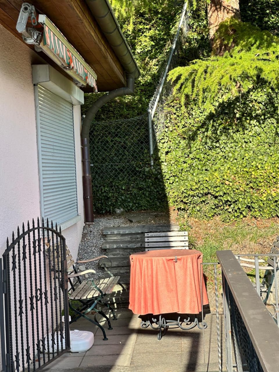 Garden view