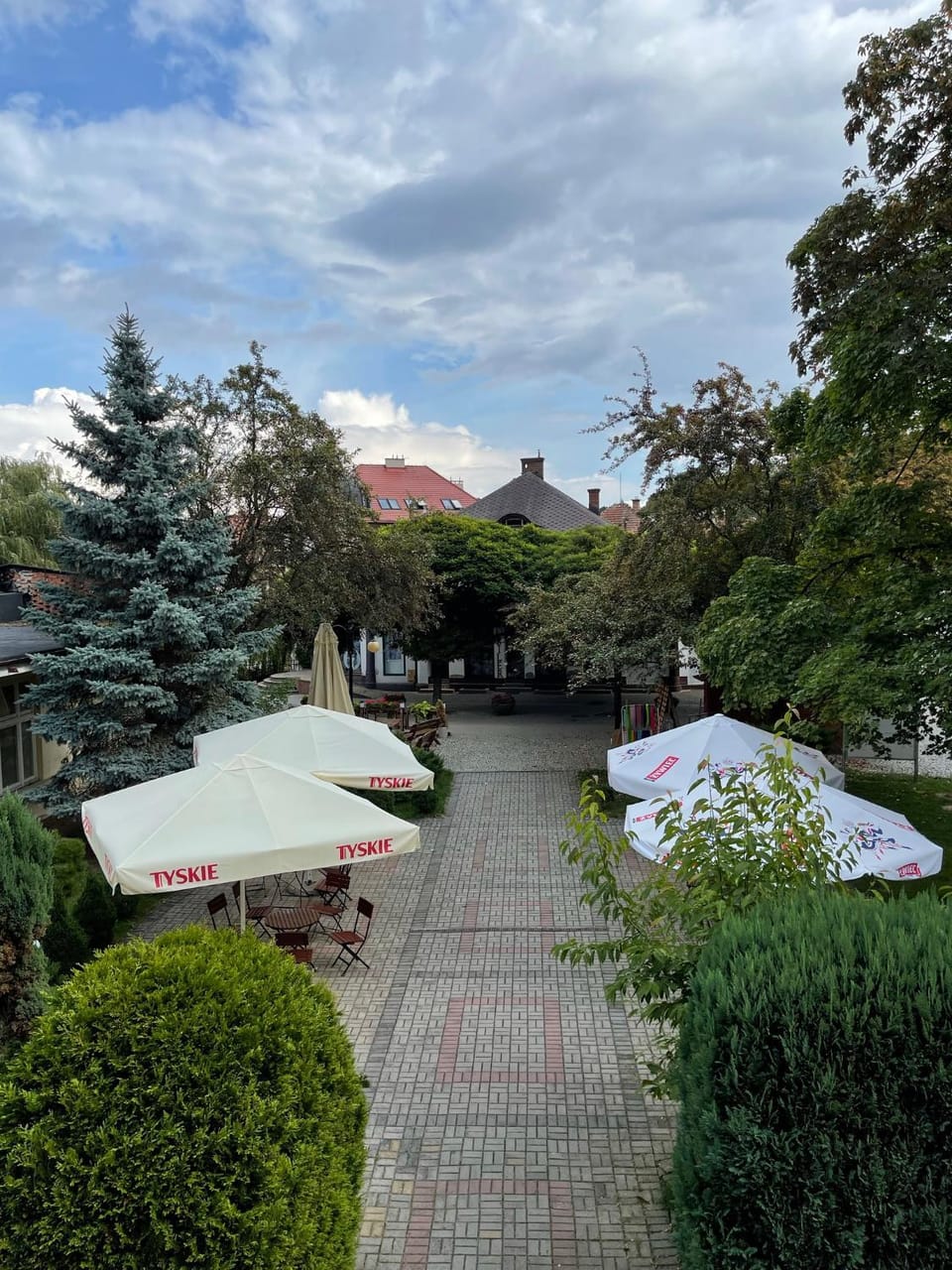 Garden view
