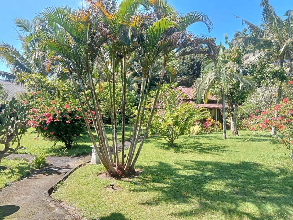 Rumah Senang Guest House Bed and Breakfast in East Java