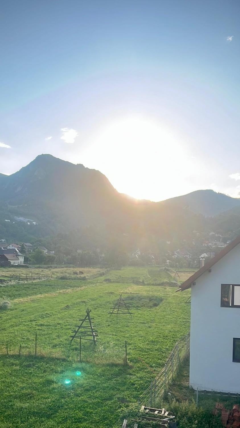 Căsuța Din Țarină House in Romania