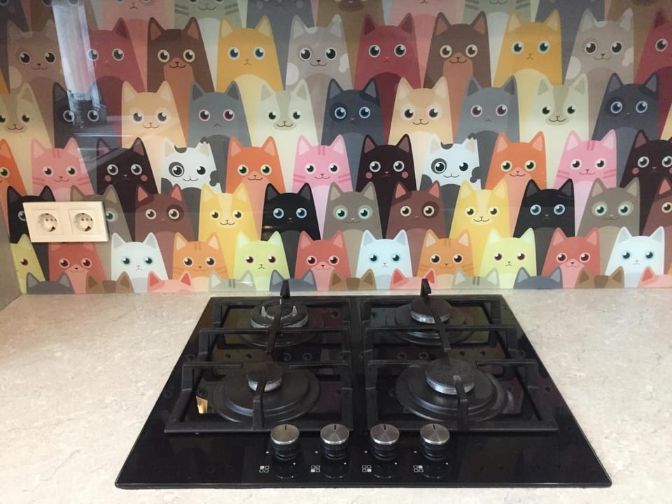 stove