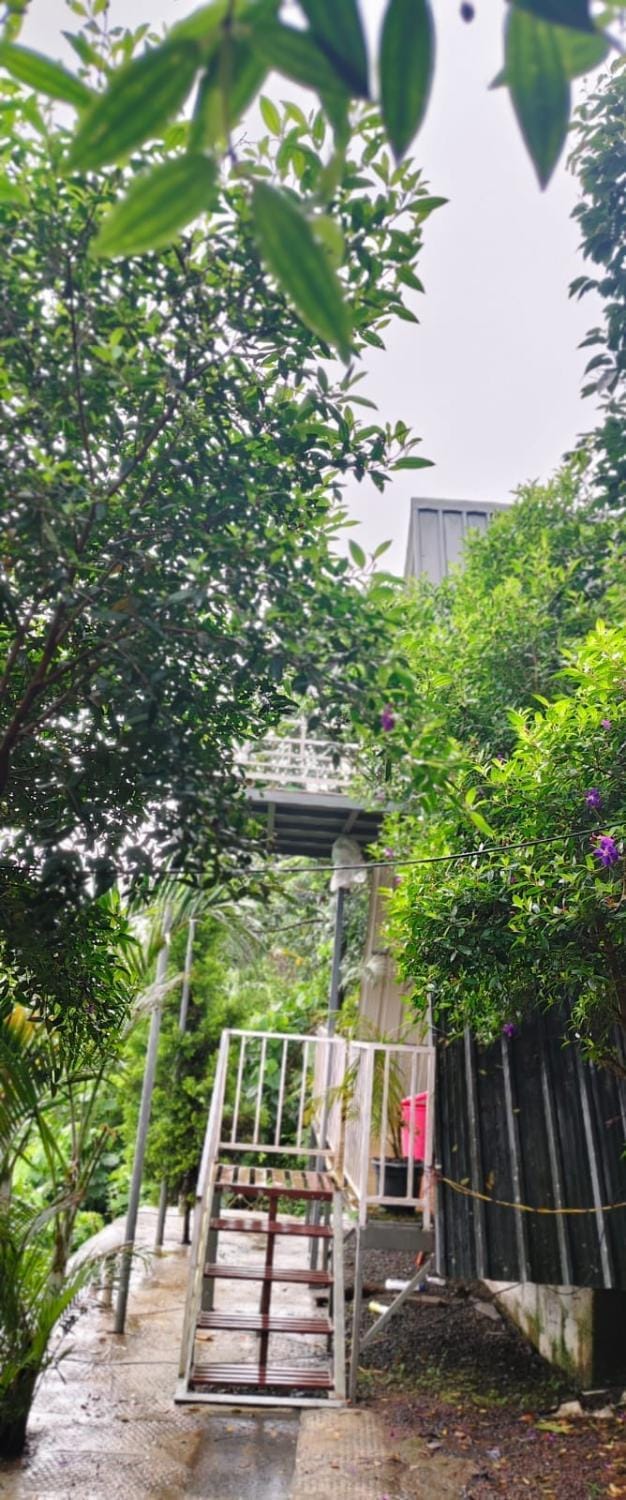 Leafmist vaga holidays vagamon Apartment in Kerala