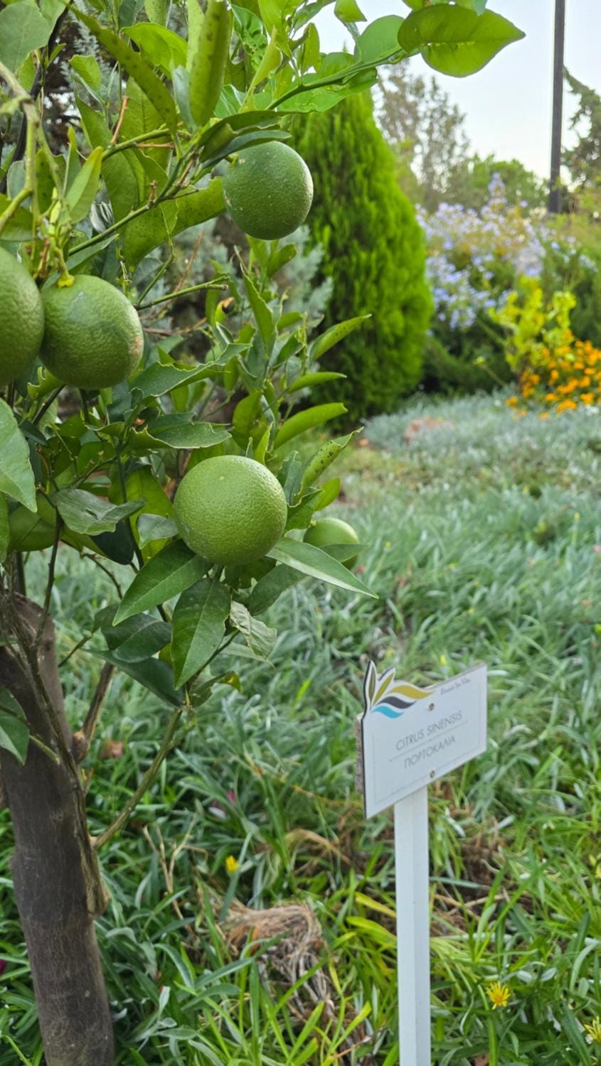 Garden, Garden view