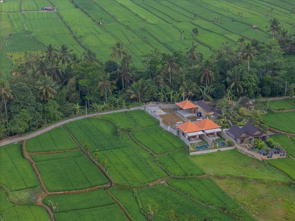 Property building, Neighbourhood, Bird's eye view