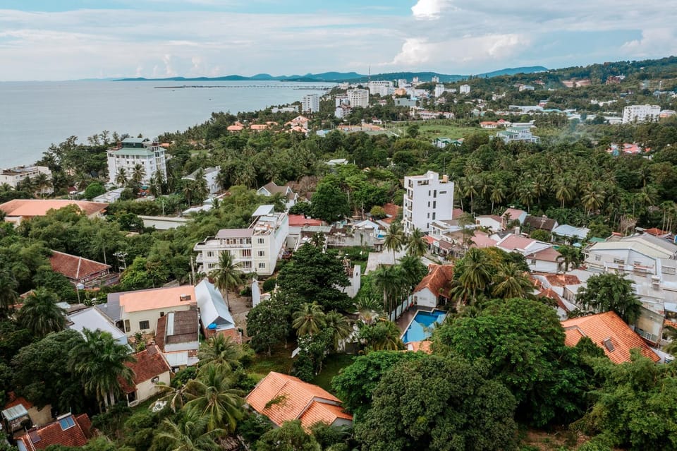 Day, Neighbourhood, Bird's eye view