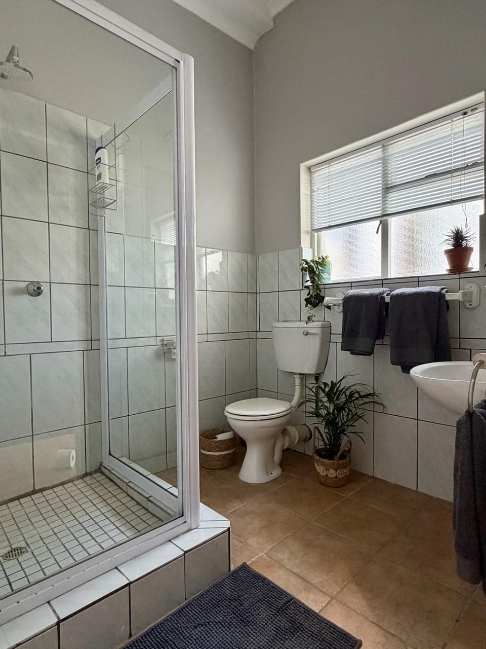 Stylish Garden Flat in Rondebosch and Secure Parking Apartment in Cape Town