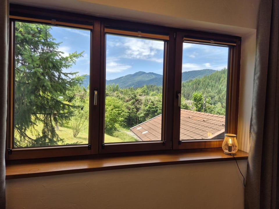 Wiesenhang -420- House in Mittenwald
