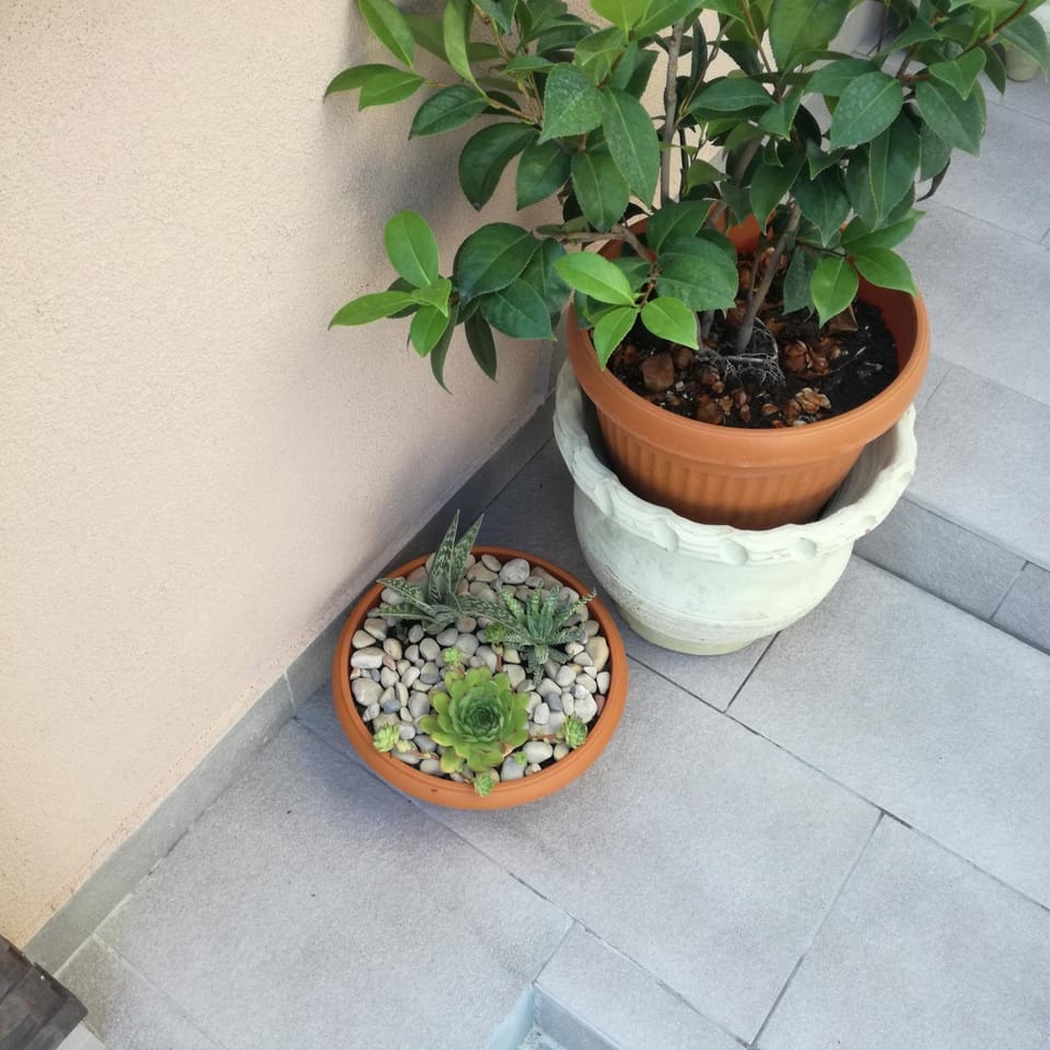 Decorative detail