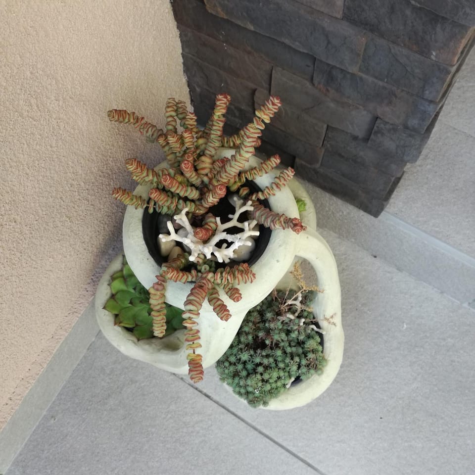 Decorative detail