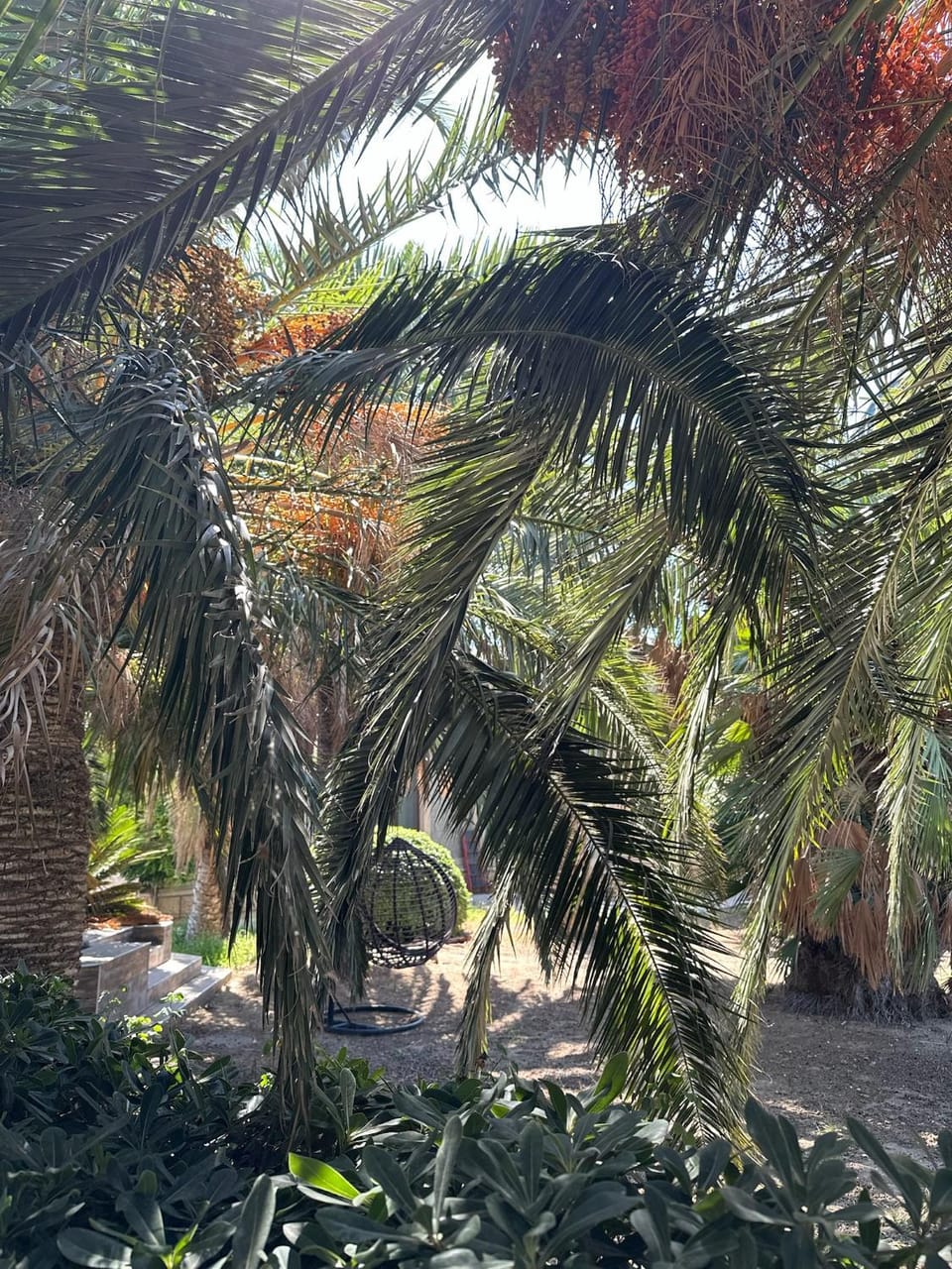 Villa Riviera w Lounge w Sea View , Private SPA, Indoor, Outdoor Pool Villa in Baku, Azerbaijan