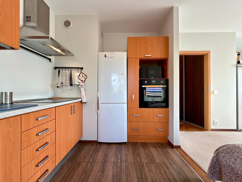 Kitchen or kitchenette, stove, wardrobe