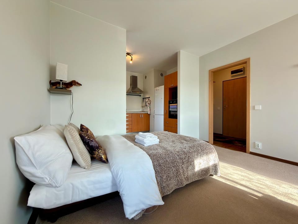 Living room, Photo of the whole room, Seating area