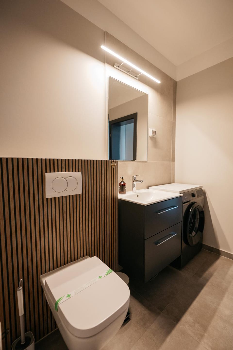 Toilet, Bathroom, washing machine