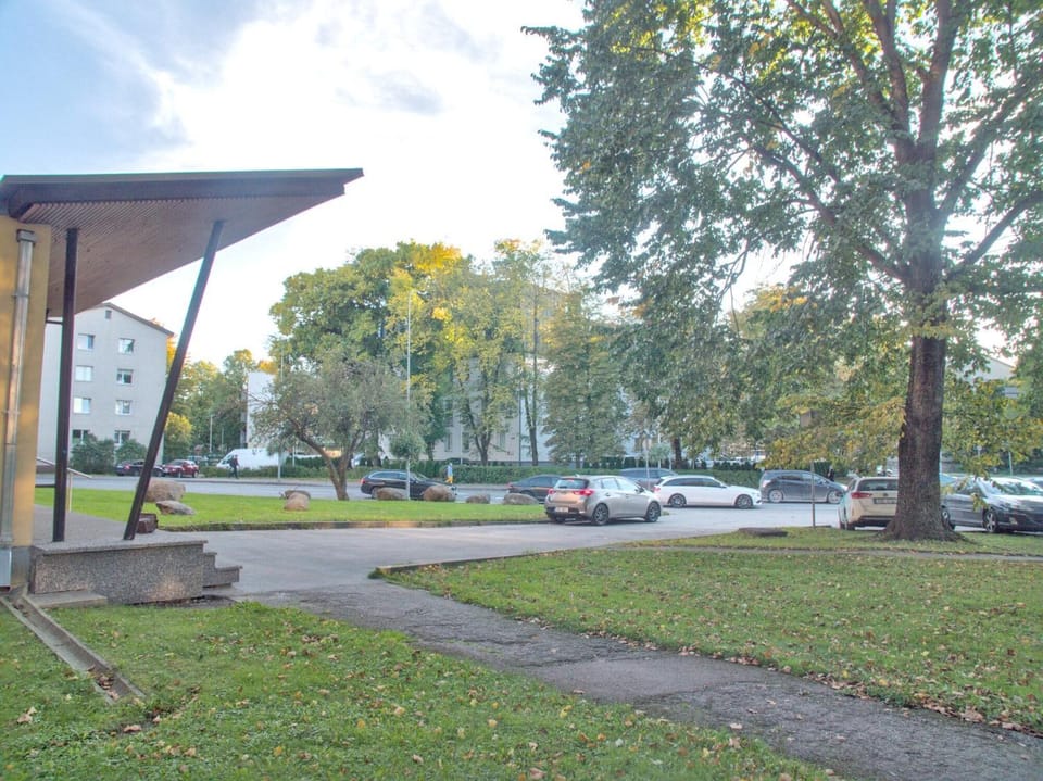 Neighbourhood, Garden, Parking