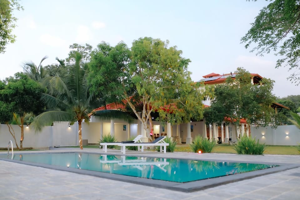 Garden, Garden view, Pool view, Swimming pool, sunbed