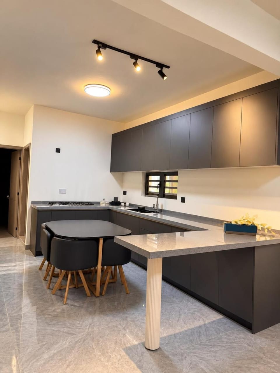 Kitchen or kitchenette, kitchen