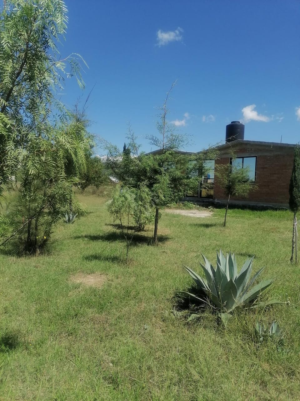 Hospedaje La bendición Bed and Breakfast in Hidalgo, Mexico