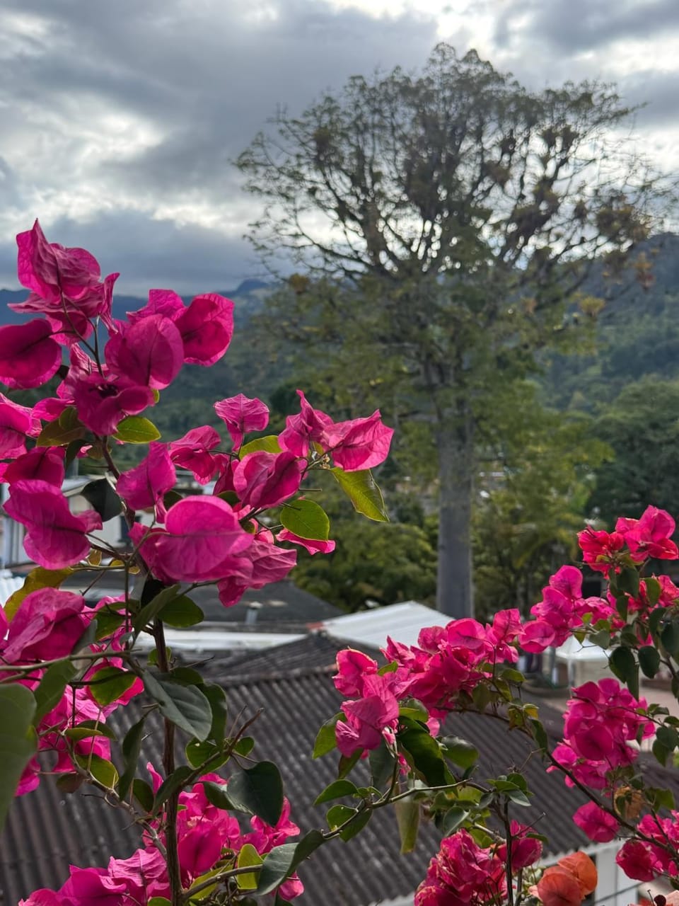 Hotel Boutique Corazón del Cielo Hotel in Cundinamarca, Colombia