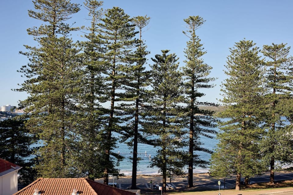 Claire Cove, Manly Apartment in Manly