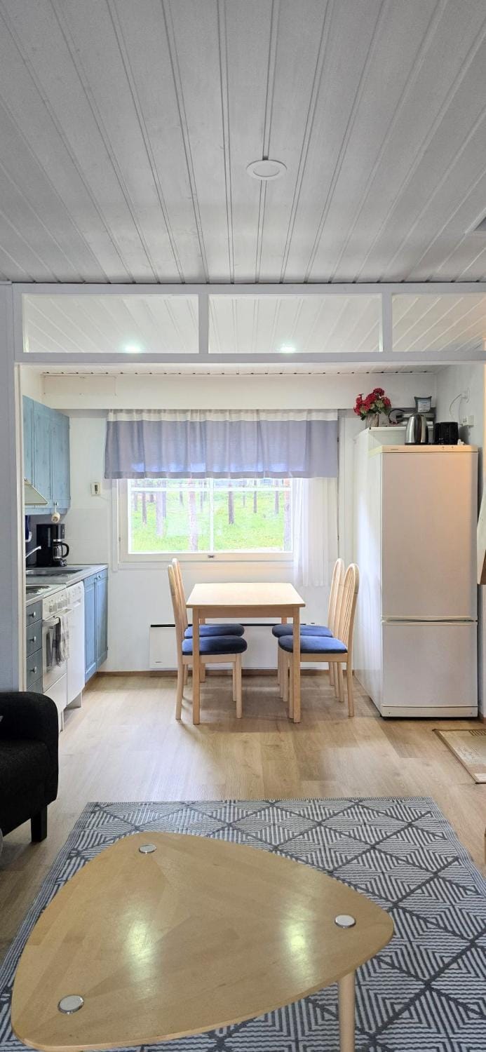 Cozy loft-style studio with its own sauna House in Rovaniemi