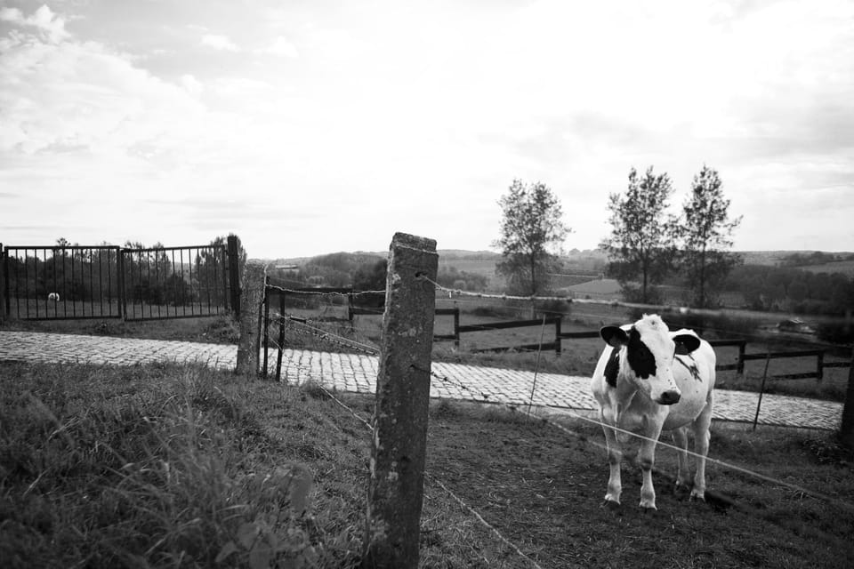 Natural landscape