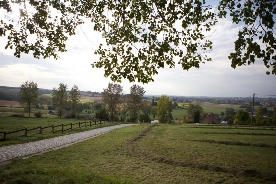Natural landscape
