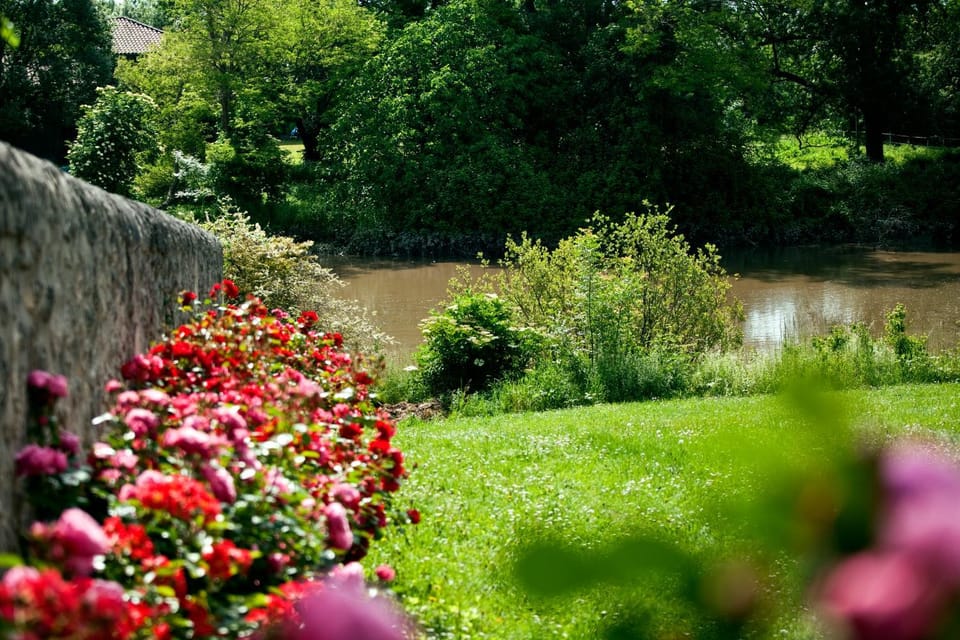 Natural landscape, Garden, River view