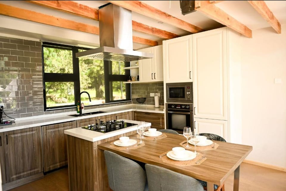 Kitchen or kitchenette, dishwasher, oven, stove