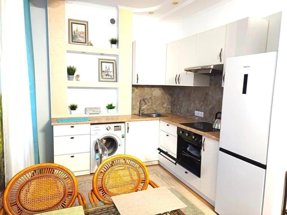 Kitchen or kitchenette, oven, stove, washing machine