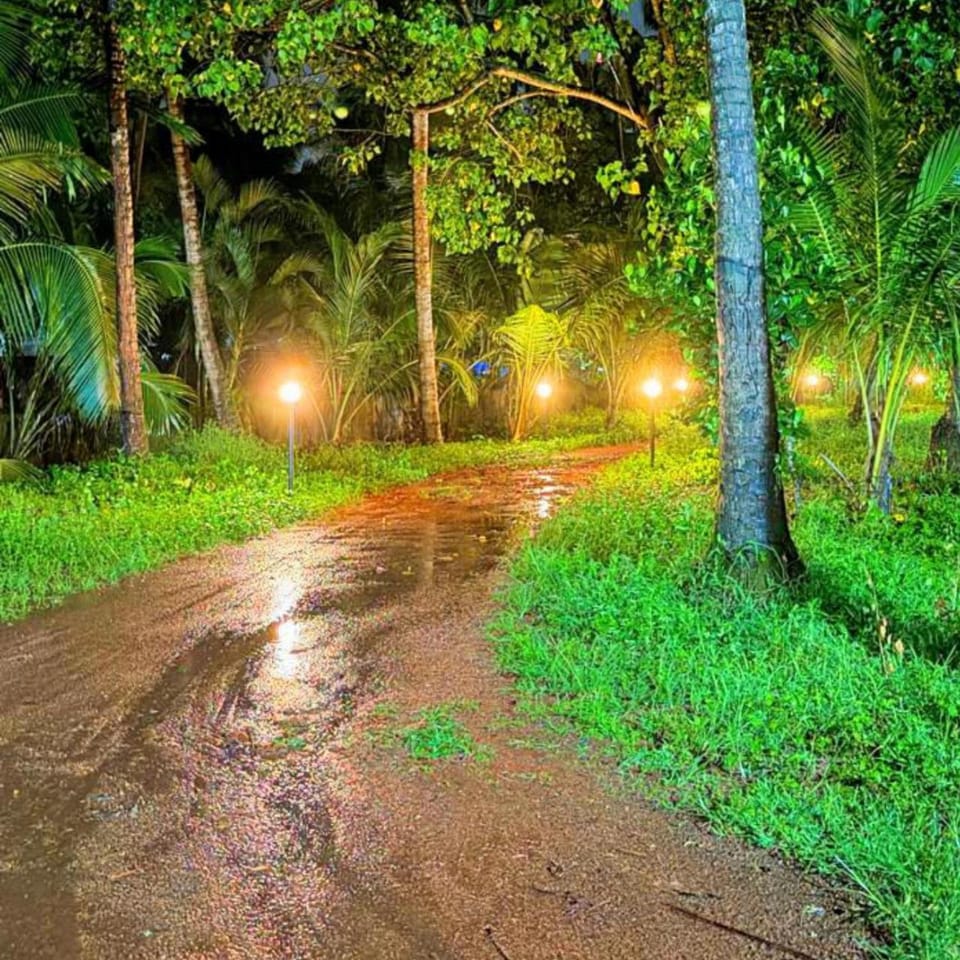 Spring, Night, Neighbourhood, Natural landscape, Garden, Garden view, Garden view, Area and facilities, Area and facilities