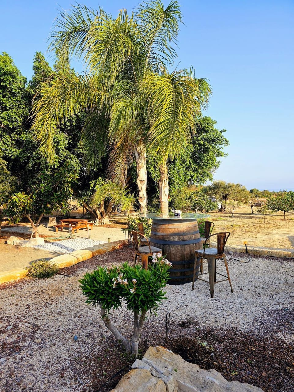 Day, Natural landscape, Garden, Garden view