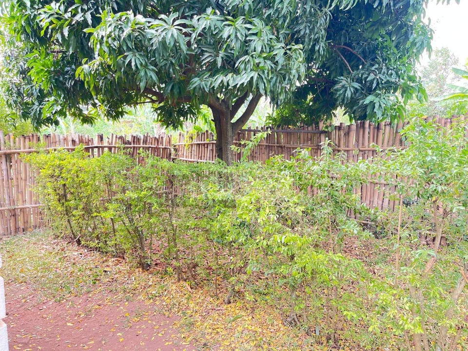 Kingex Guest House Hotel in Uganda