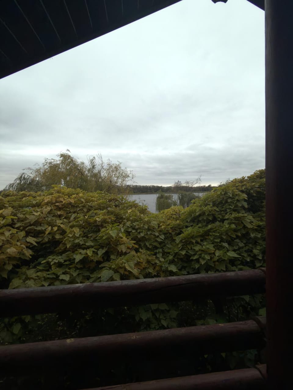 Natural landscape, River view
