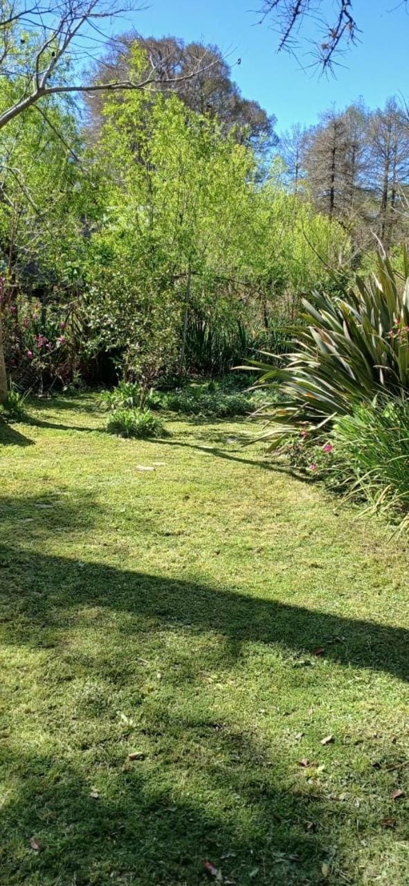 Natural landscape, Garden, Garden, Garden view
