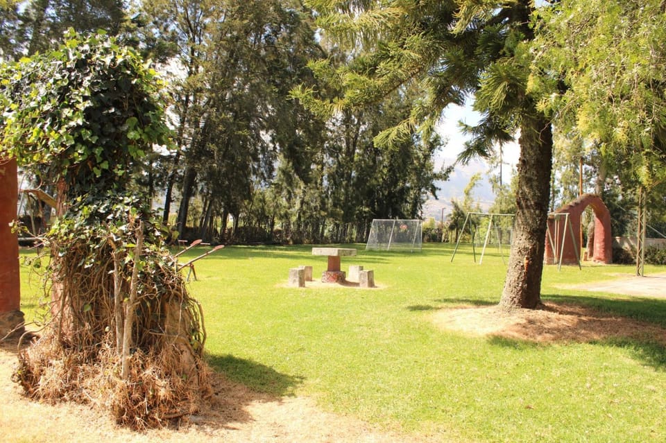 Natural landscape, Garden, Garden view