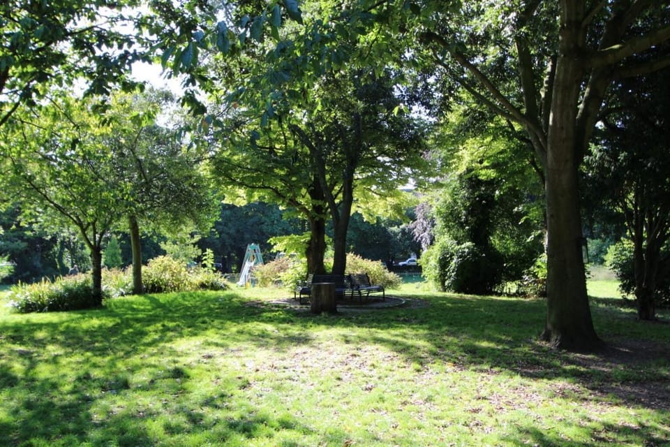 Day, Natural landscape, Garden view