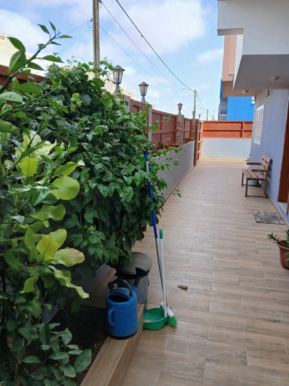 Garden view