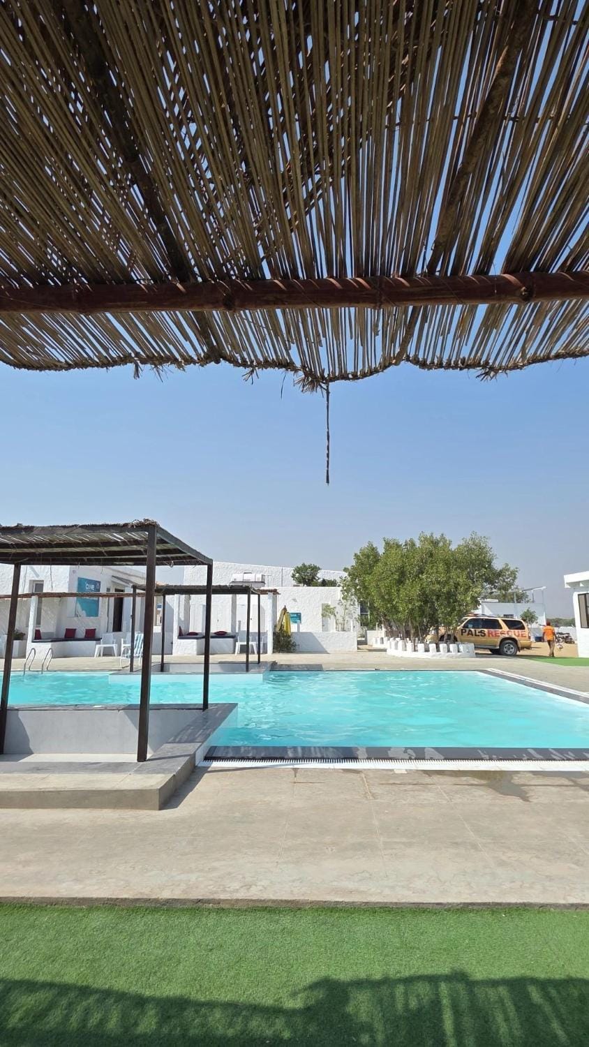 Day, Pool view, Swimming pool, Swimming pool, sunbed