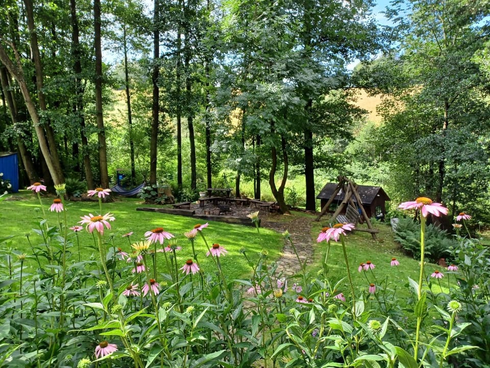 Summer, Garden view