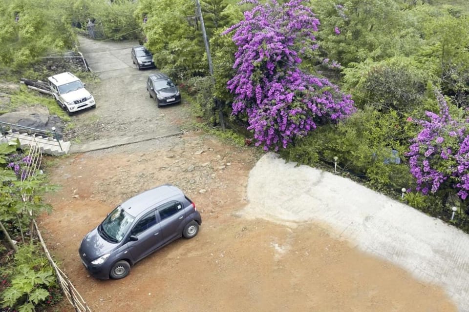 Garden, Parking