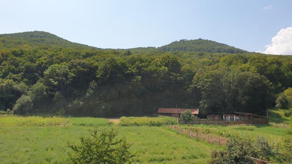 View (from property/room)