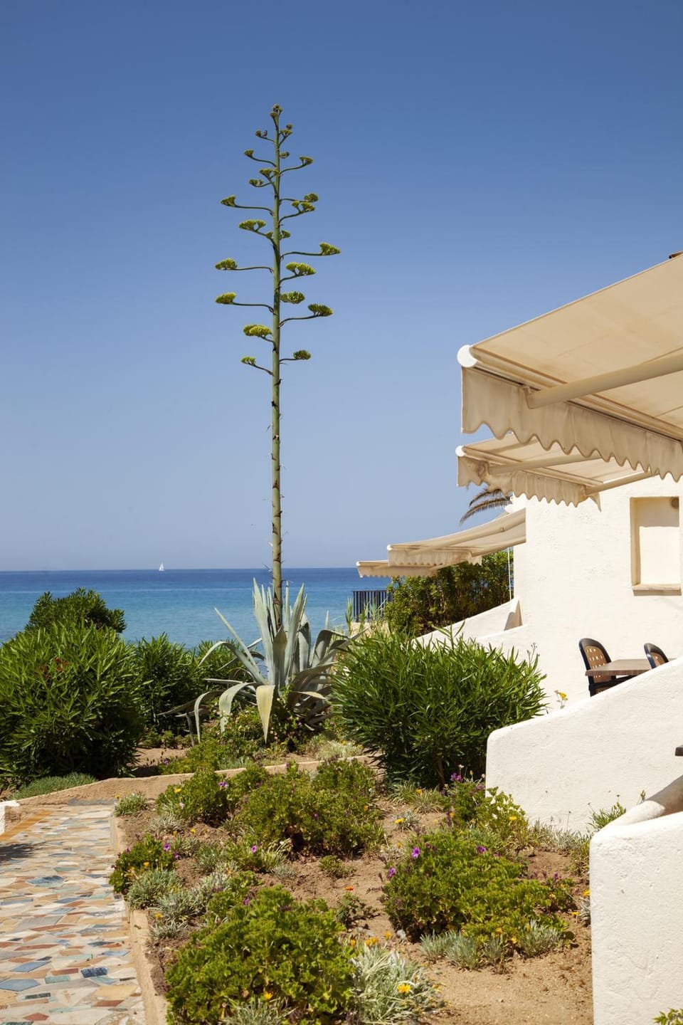 Garden view, Sea view