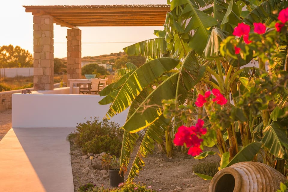 Day, Garden view