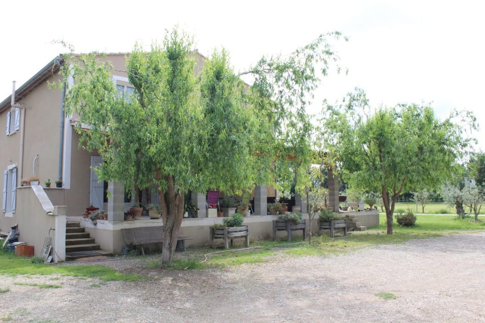 Facade/entrance, Garden view