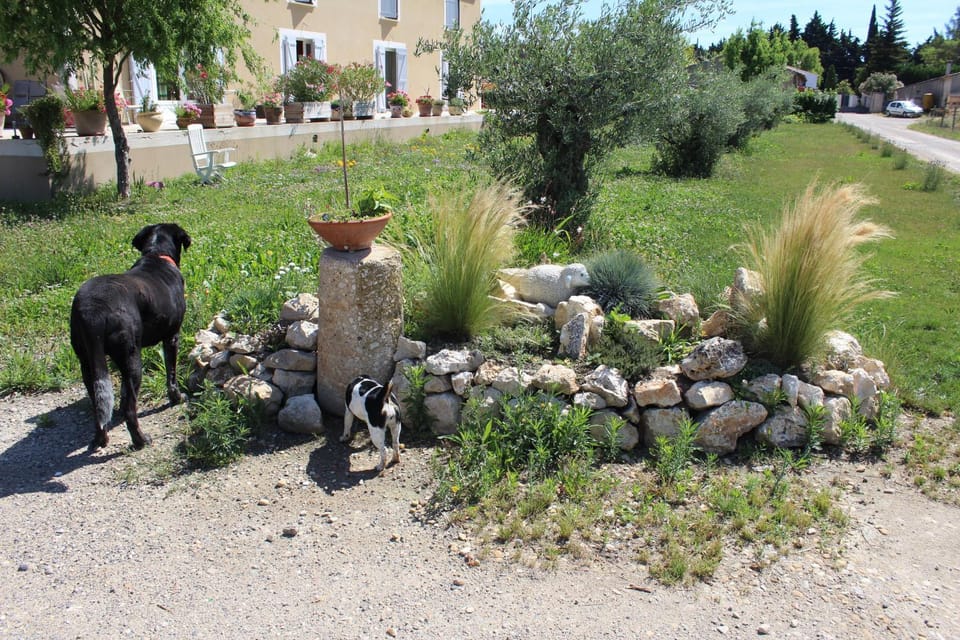 Garden view, Quiet street view, Inner courtyard view