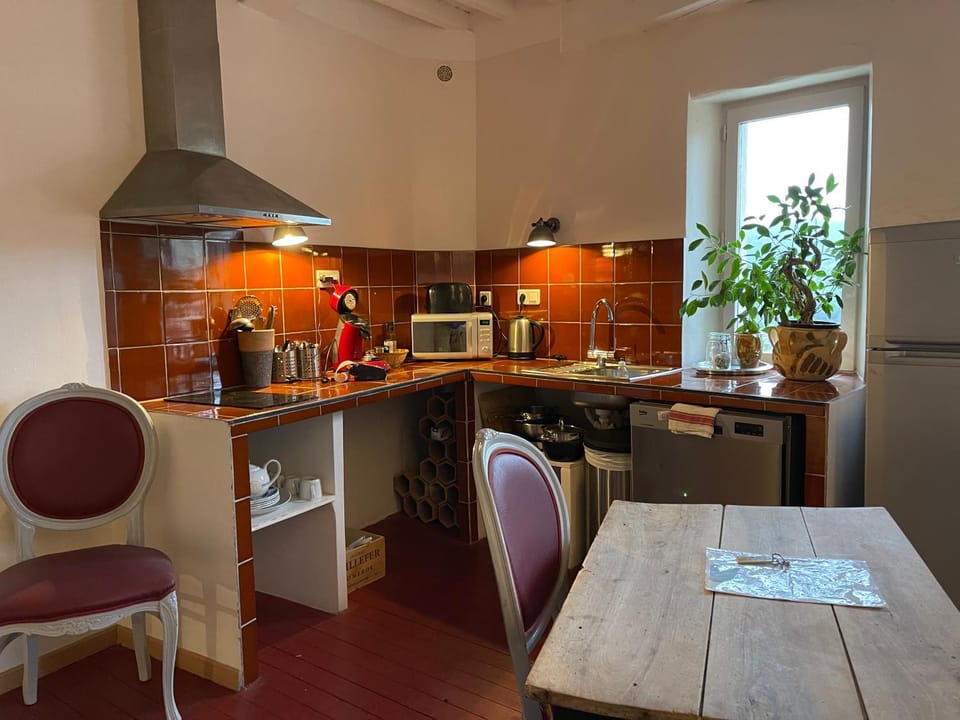 Coffee/tea facilities, Kitchen or kitchenette, Dining area, minibar, pet friendly, stove